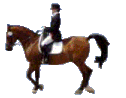 dressageRider